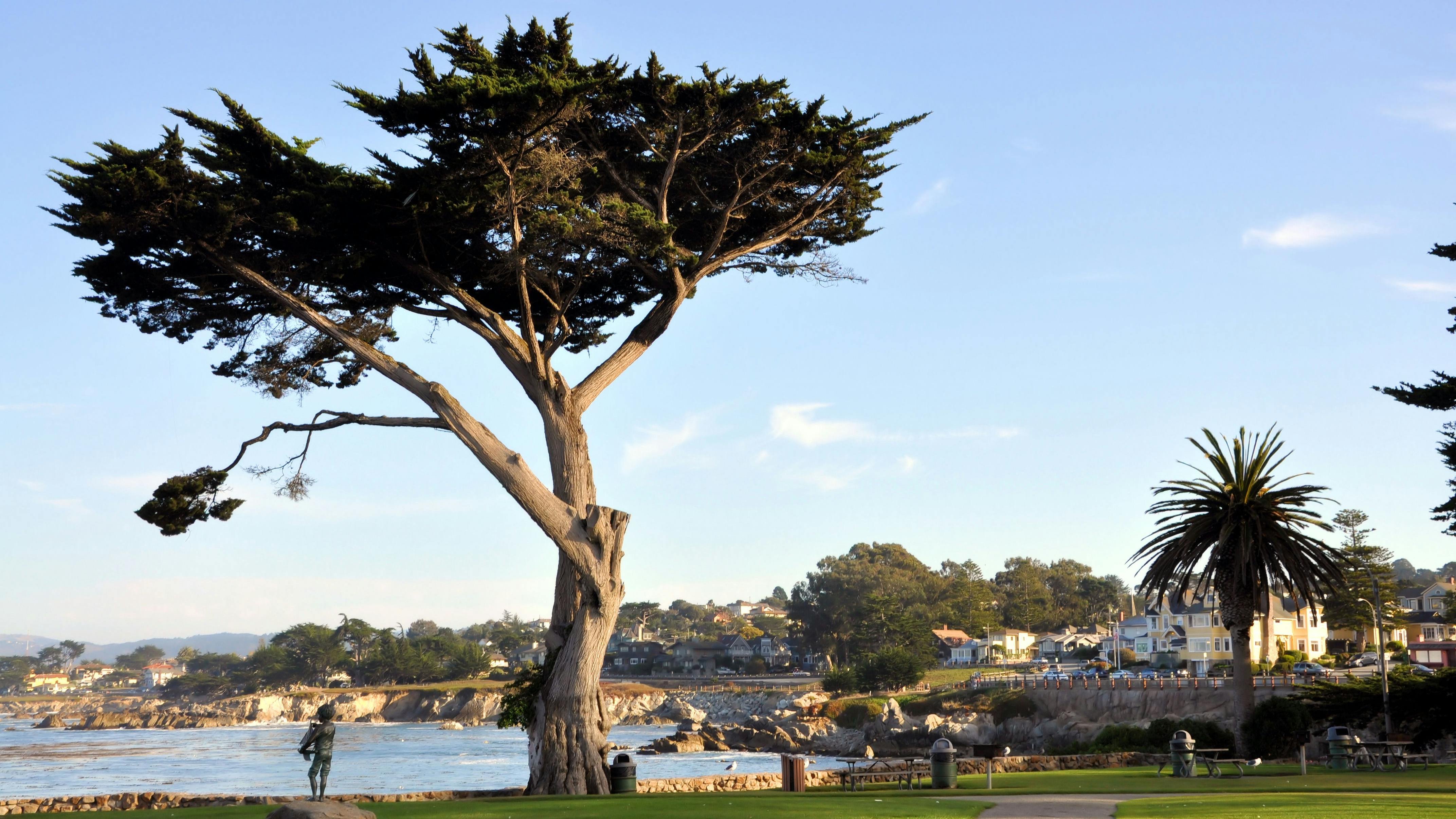 6602cf3bf8cc0c001e98d653 Dreamstime Xxl 16442921