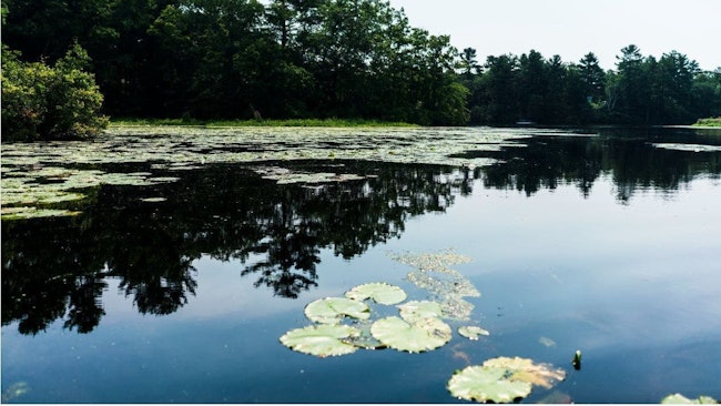 Fig 1 The Charles River springs from its source about 30 miles southwest of Boston, flows through 23 communities, encompasses a watershed of over 300 square miles and 35 cities and towns, and is home to just under a million people. (Courtesy CRWA)