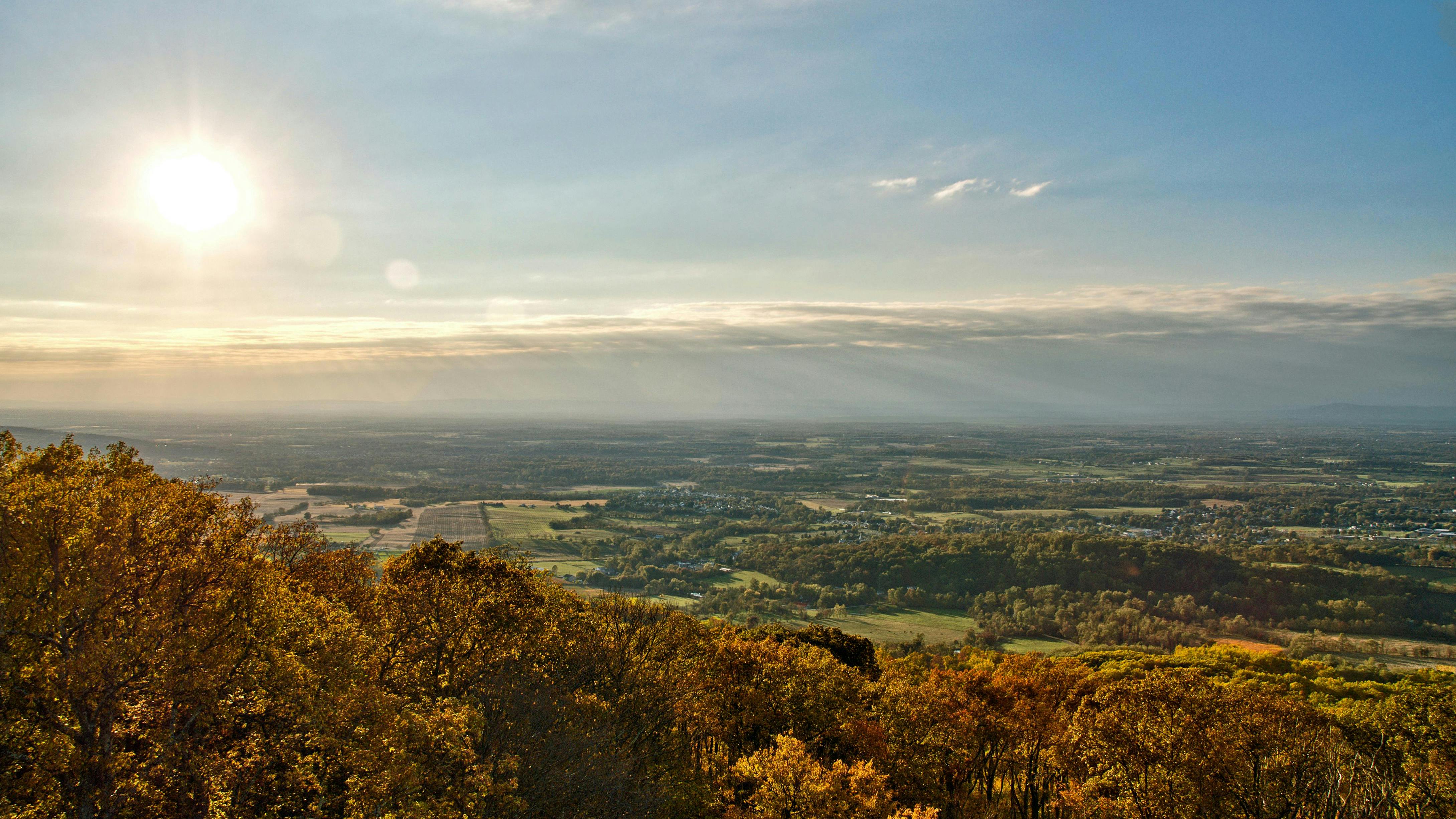 dreamstime_xxl_35078234