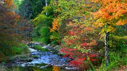 661e88fe4dba7b001e8ddaf5 Dreamstime Xxl 11107067 661e88fe4dba7b001e8ddaf5 Dreamstime Xxl 11107067