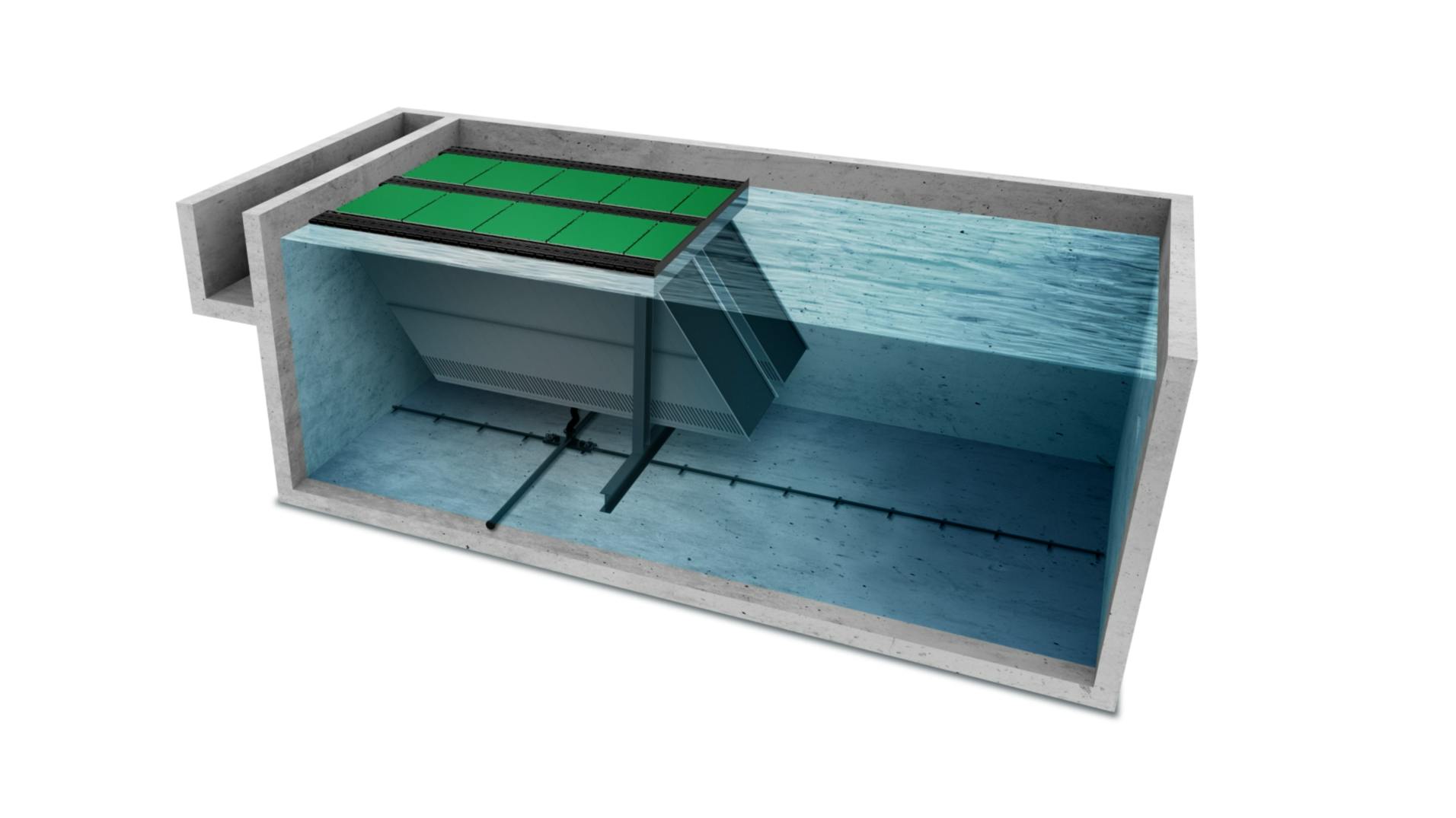 2301swsshw_p03_xylem