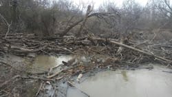 Figure 2: Log jam observed north of Highway 380, December 28, 2023. Figure 2: Log jam observed north of Highway 380, December 28, 2023.