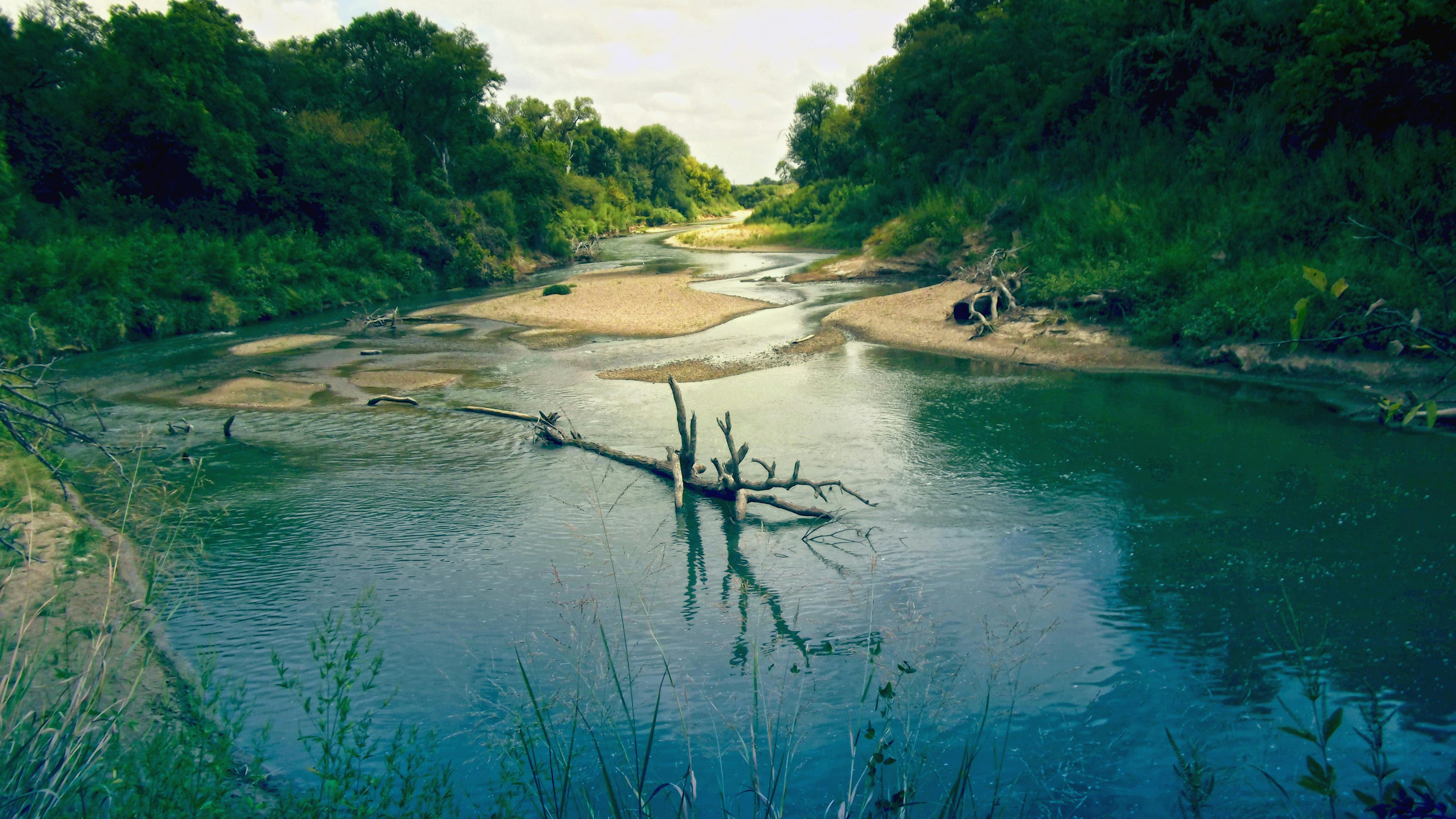 dreamstime_xxl_126366819