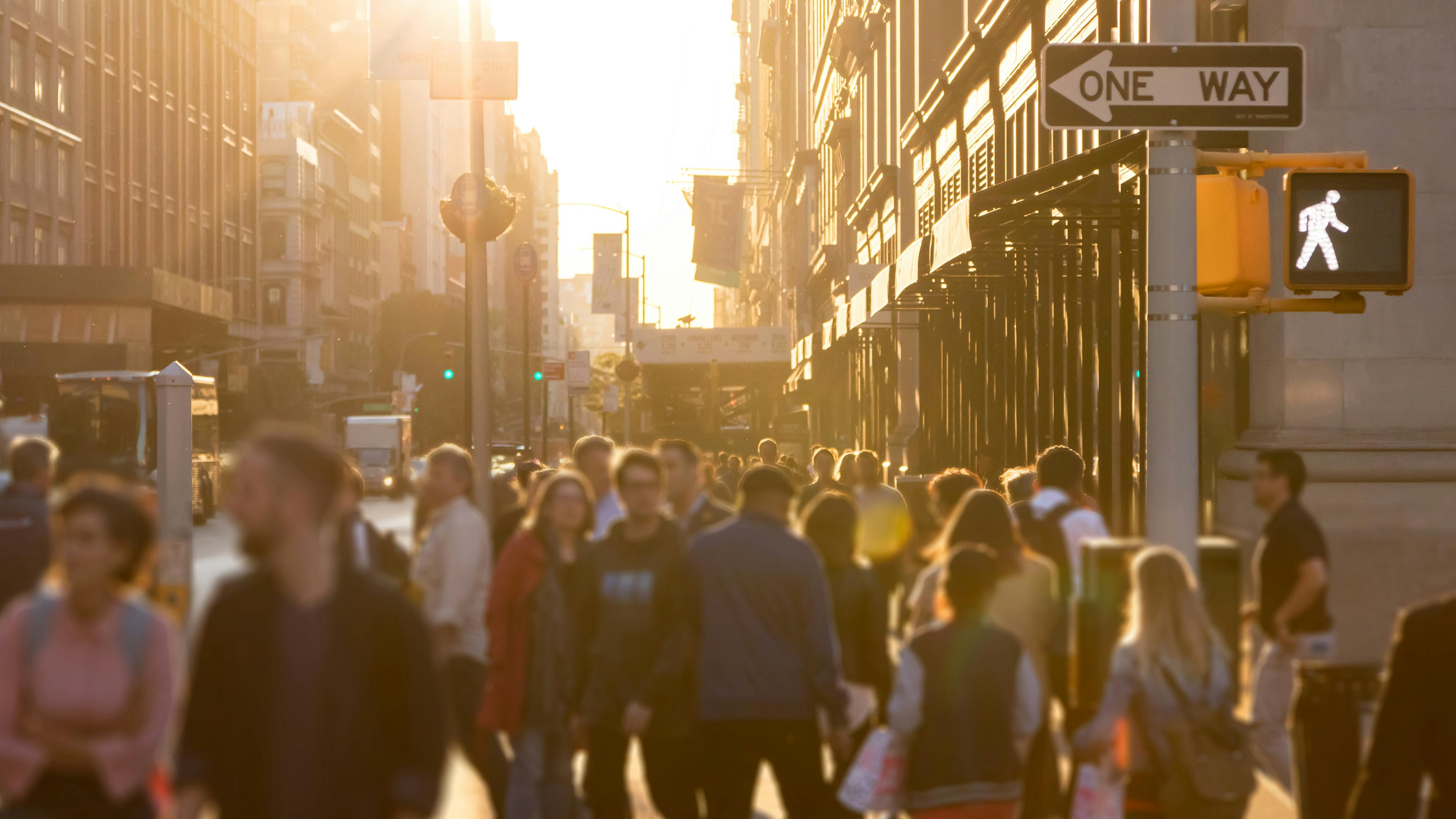 6644dc8ee24f732b9f9bf991 Dreamstime Xxl 119798510