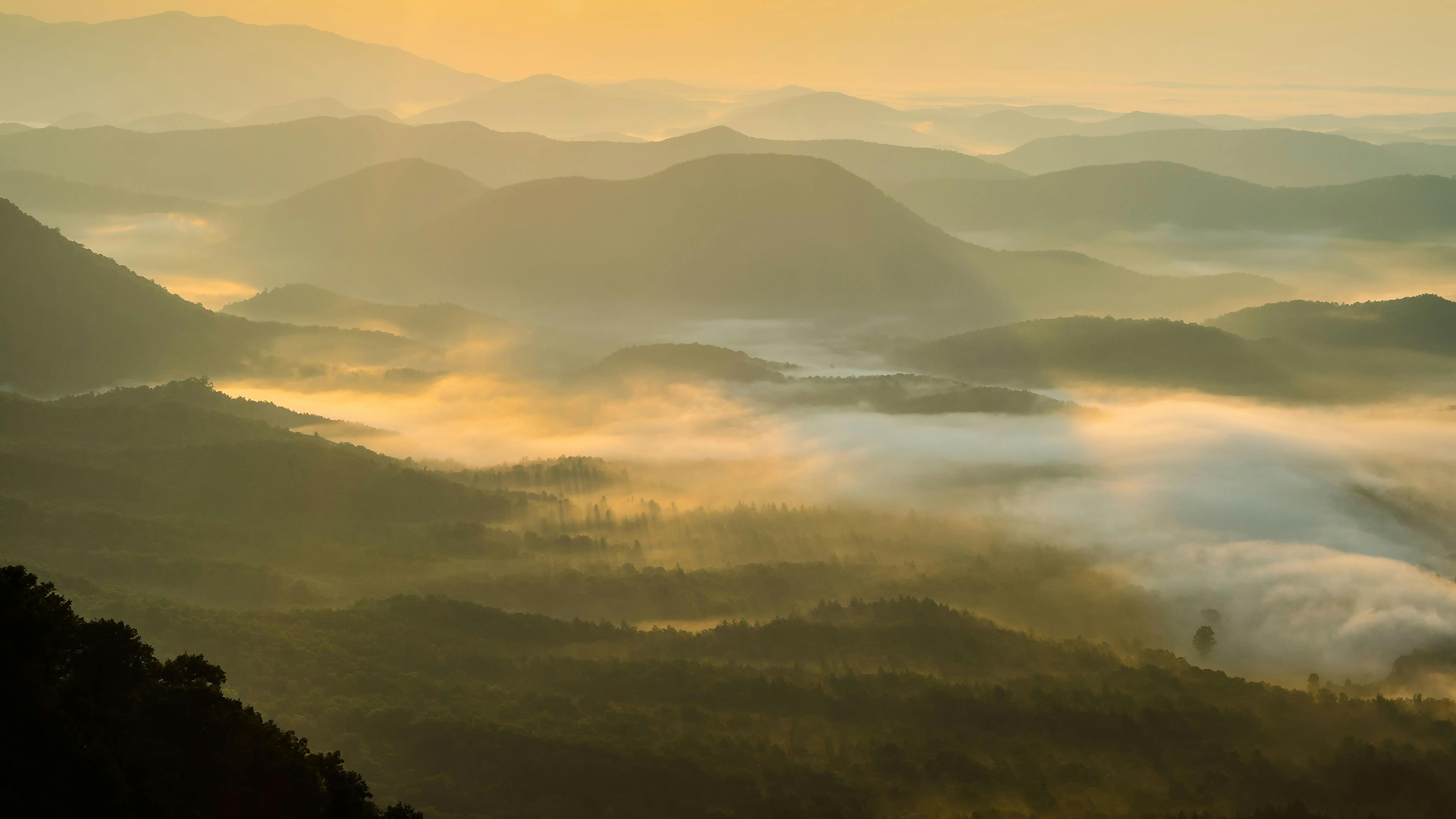 664b866c9f63ae14356ea4fe Dreamstime Xxl 42318403