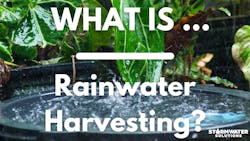 664f5c947f36f0ce614f9518 What Is 664f5c947f36f0ce614f9518 What Is