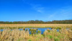 A man-made watershed in a park setting in spring. A man-made watershed in a park setting in spring.
