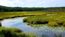 Wetlands landscape in Algonquin provincial park, Canada. Wetlands landscape in Algonquin provincial park, Canada.