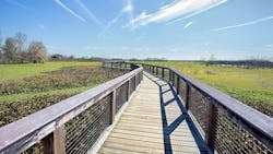 Sweetwater Wood Trail, Boardwalk At Wetlands Park. Sweetwater Wetlands park wood trail, boardwalk over cabbage covered swamps. Sweetwater Wood Trail, Boardwalk At Wetlands Park. Sweetwater Wetlands park wood trail, boardwalk over cabbage covered swamps.