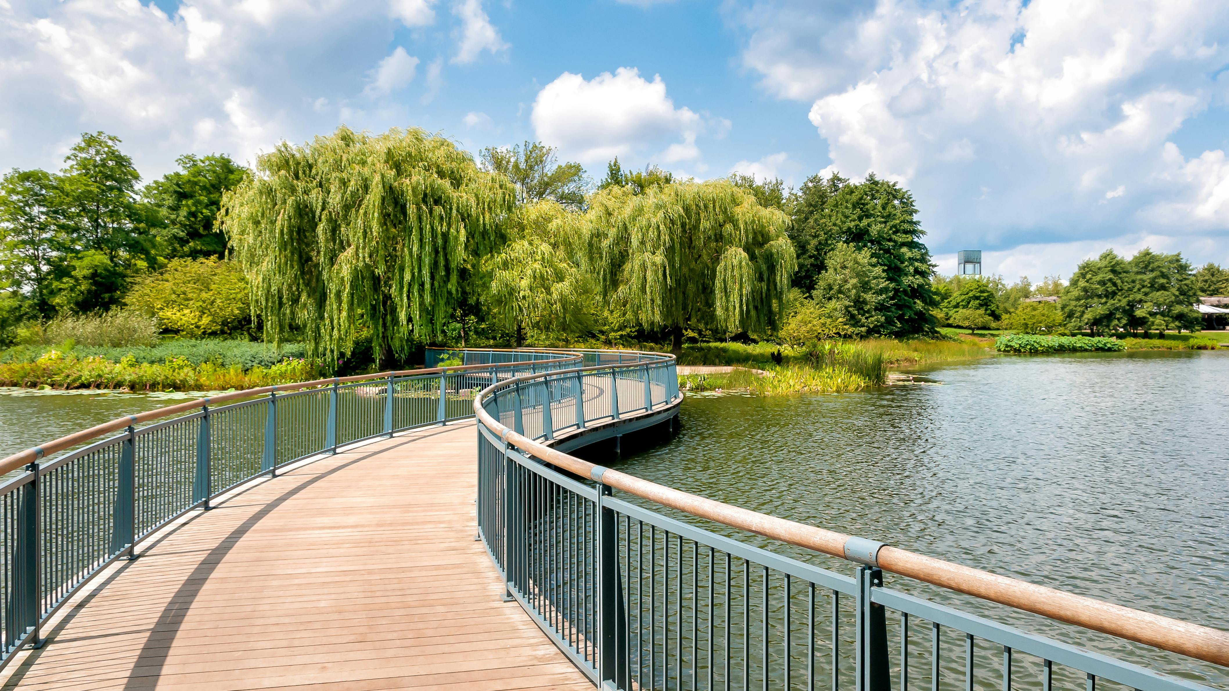 6671c15dfc4dd20fe84b3157 Dreamstime Xxl 87796728