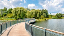 6671c15dfc4dd20fe84b3157 Dreamstime Xxl 87796728 6671c15dfc4dd20fe84b3157 Dreamstime Xxl 87796728