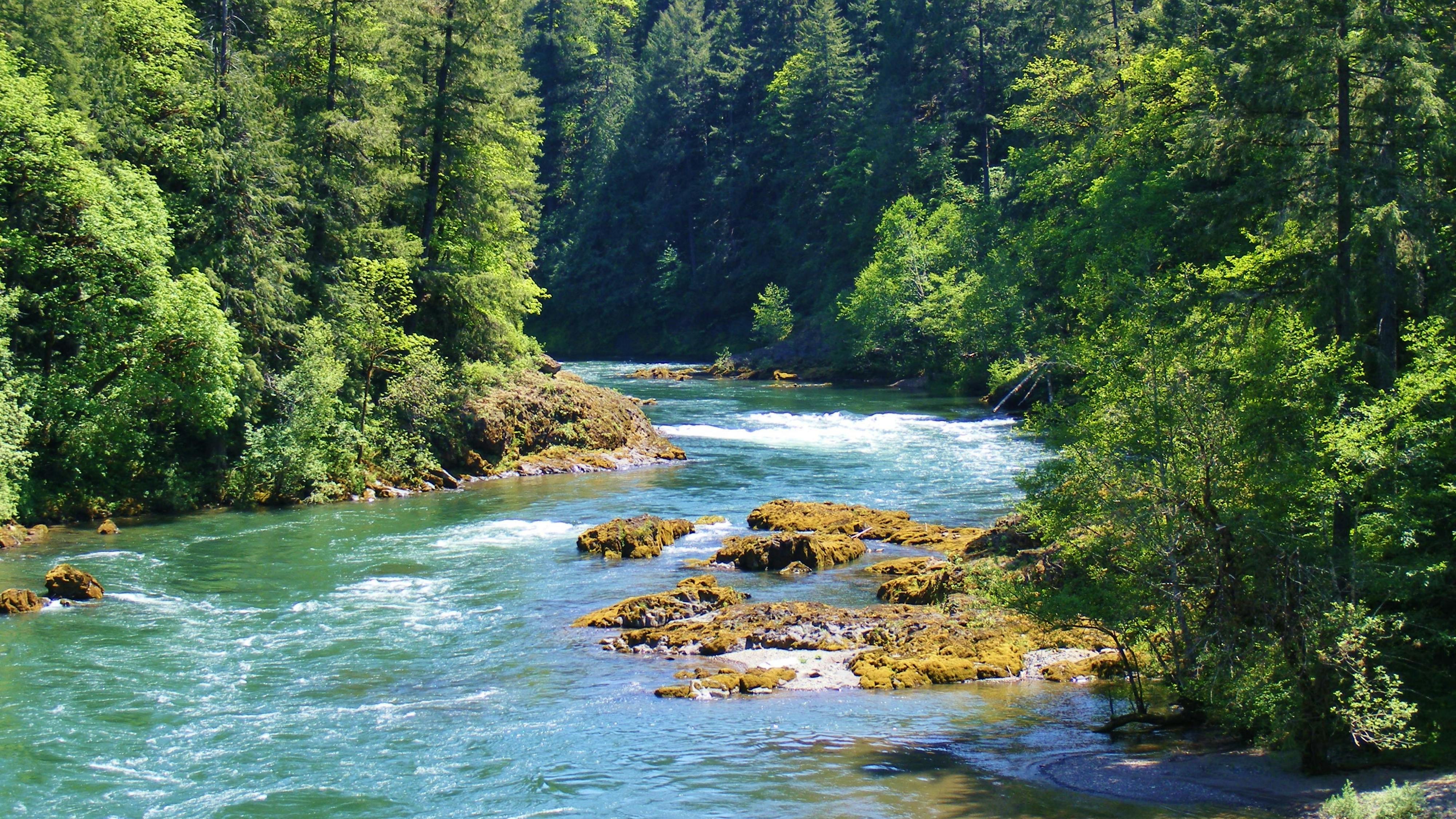 dreamstime_xxl_40213972