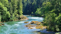 667ed7a21bb2d74d511d25bf Dreamstime Xxl 40213972 667ed7a21bb2d74d511d25bf Dreamstime Xxl 40213972