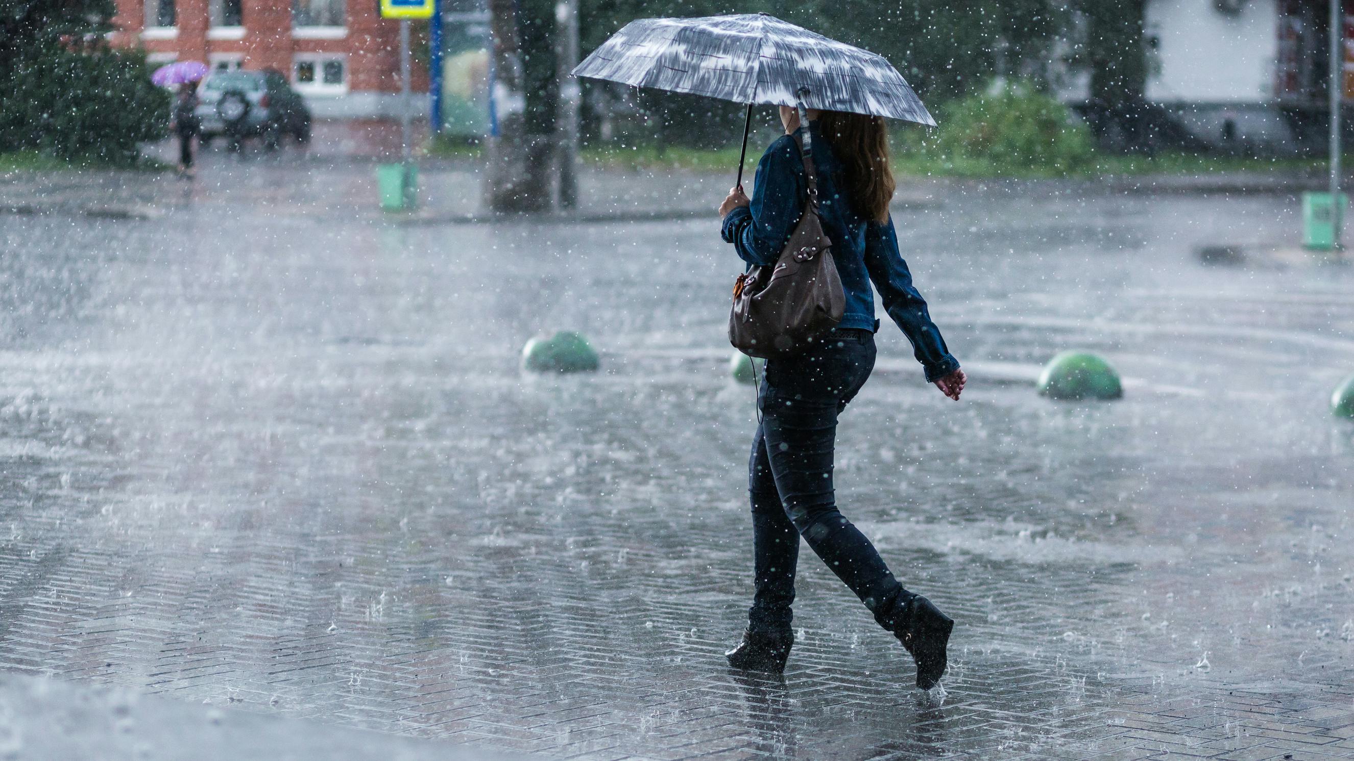 668d812188632661fffa69b0 Dreamstime L 74258170