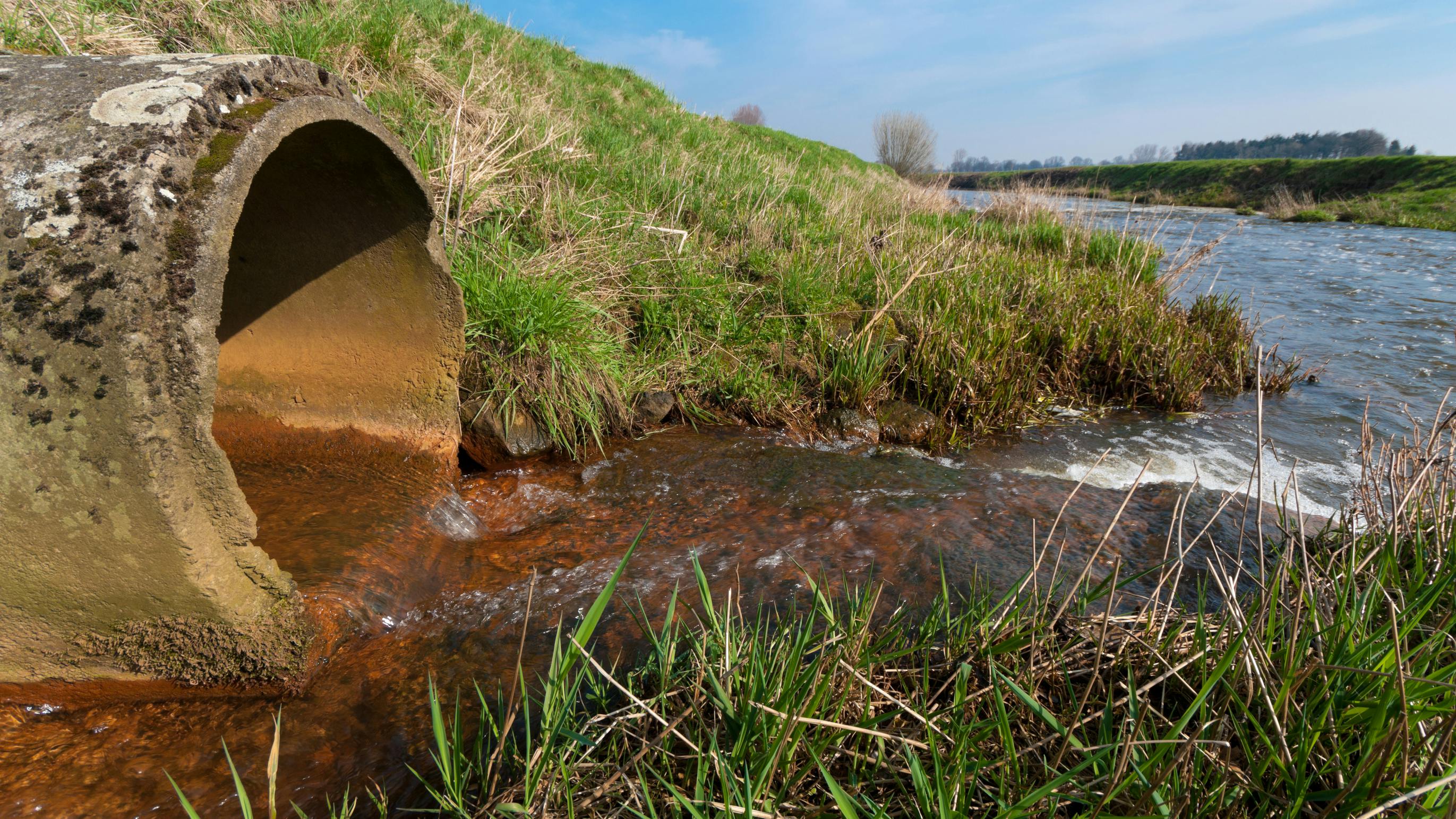 dreamstime_l_24624755