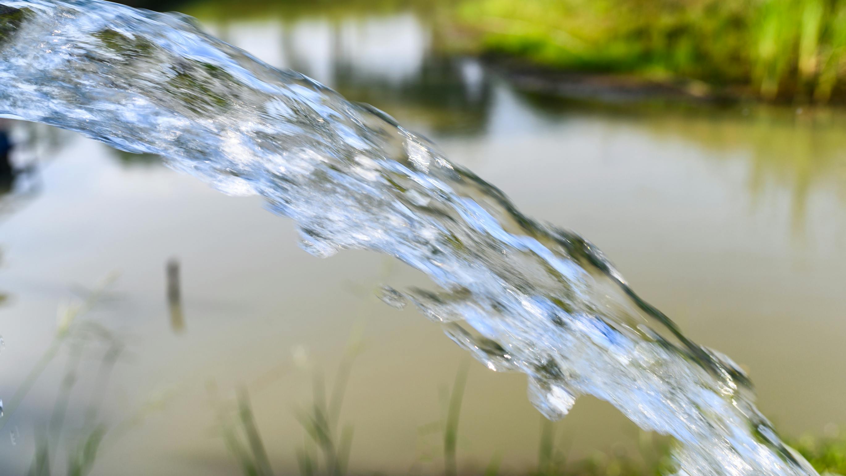 6696c0d8ea9e4a24ab0c6531 Dreamstime L 149106693