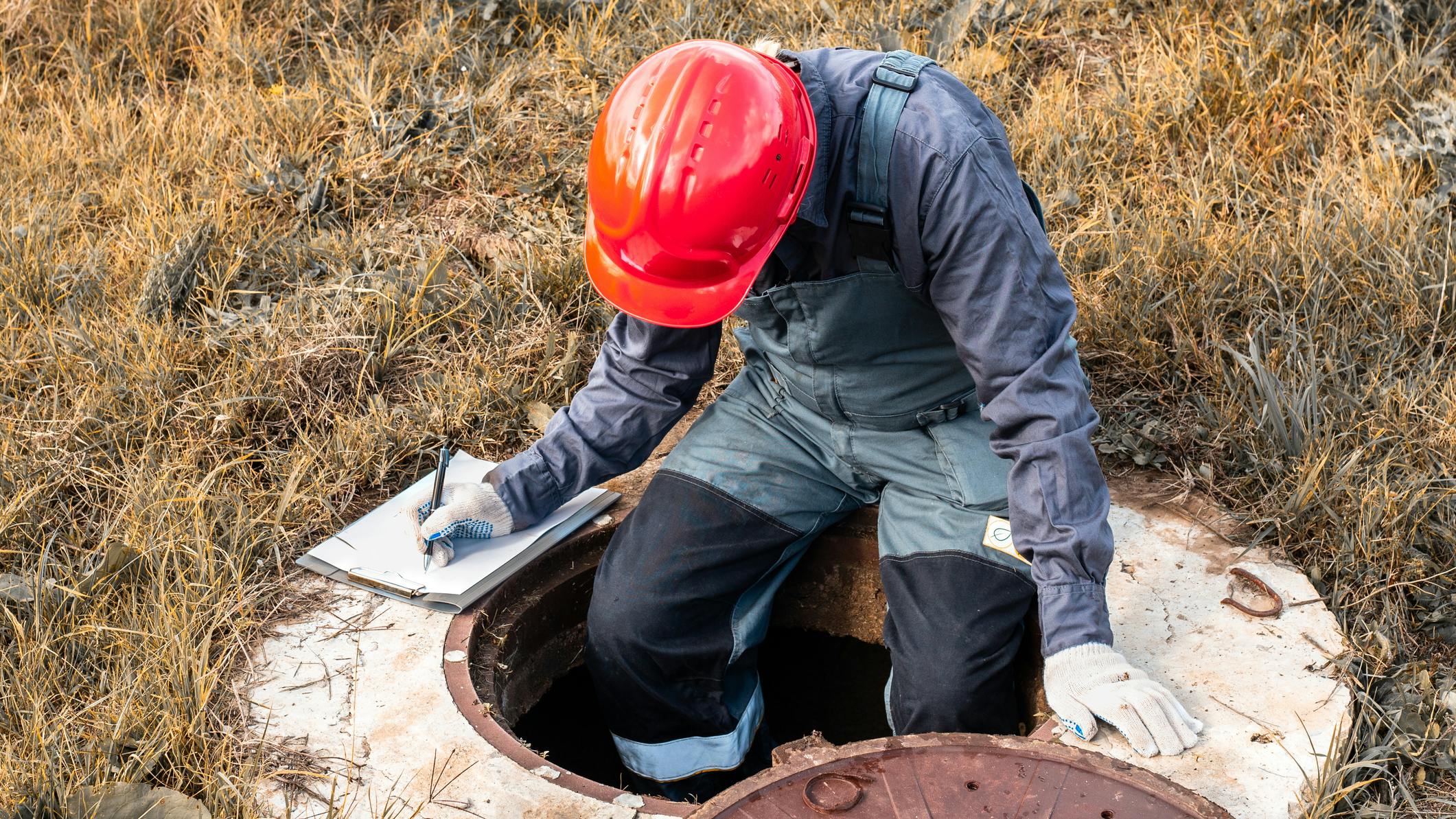 66a27b06578d99c6ad06dbf2 Dreamstime M 325976564