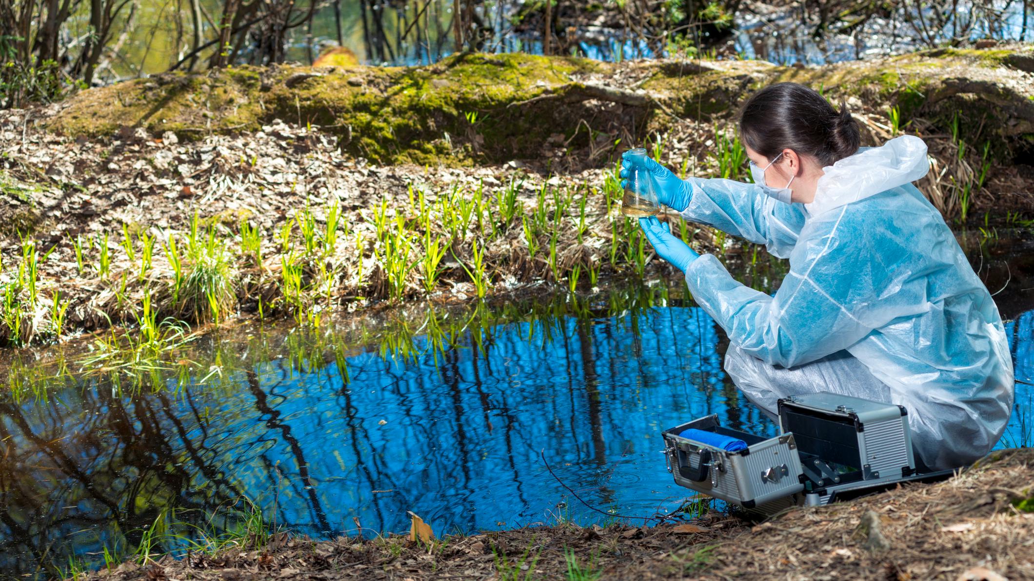 66a90889bafffa90a7a6656e Dreamstime M 152561890