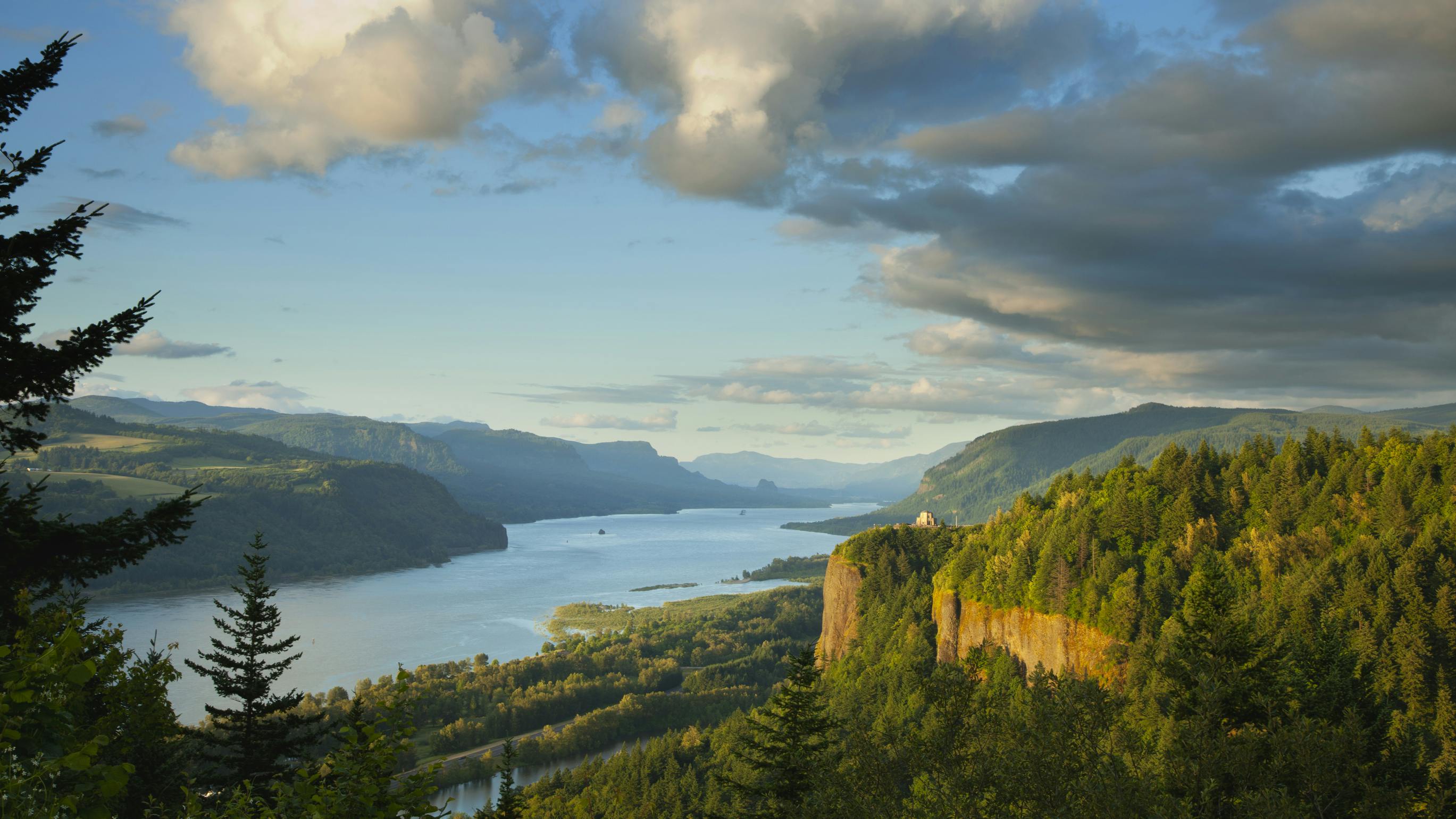 66b246c714b0516277c8b0af Dreamstime L 31864357