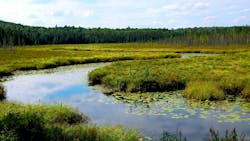 66b4eda033aea97fa7f3573a Dreamstime M 1192218 66b4eda033aea97fa7f3573a Dreamstime M 1192218