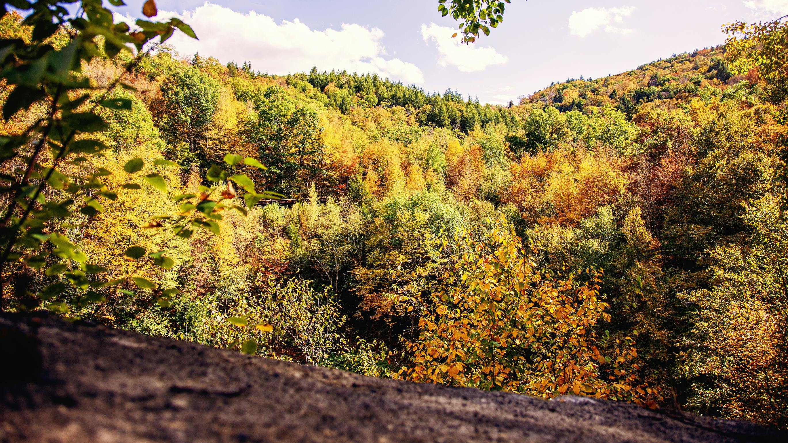 66ba3ddd6151bb413ca8d8d8 Dreamstime L 310166947