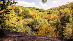 66ba3ddd6151bb413ca8d8d8 Dreamstime L 310166947 66ba3ddd6151bb413ca8d8d8 Dreamstime L 310166947