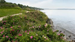 66bf73a9b1a60509aeedc59e Dreamstime M 14663081 66bf73a9b1a60509aeedc59e Dreamstime M 14663081