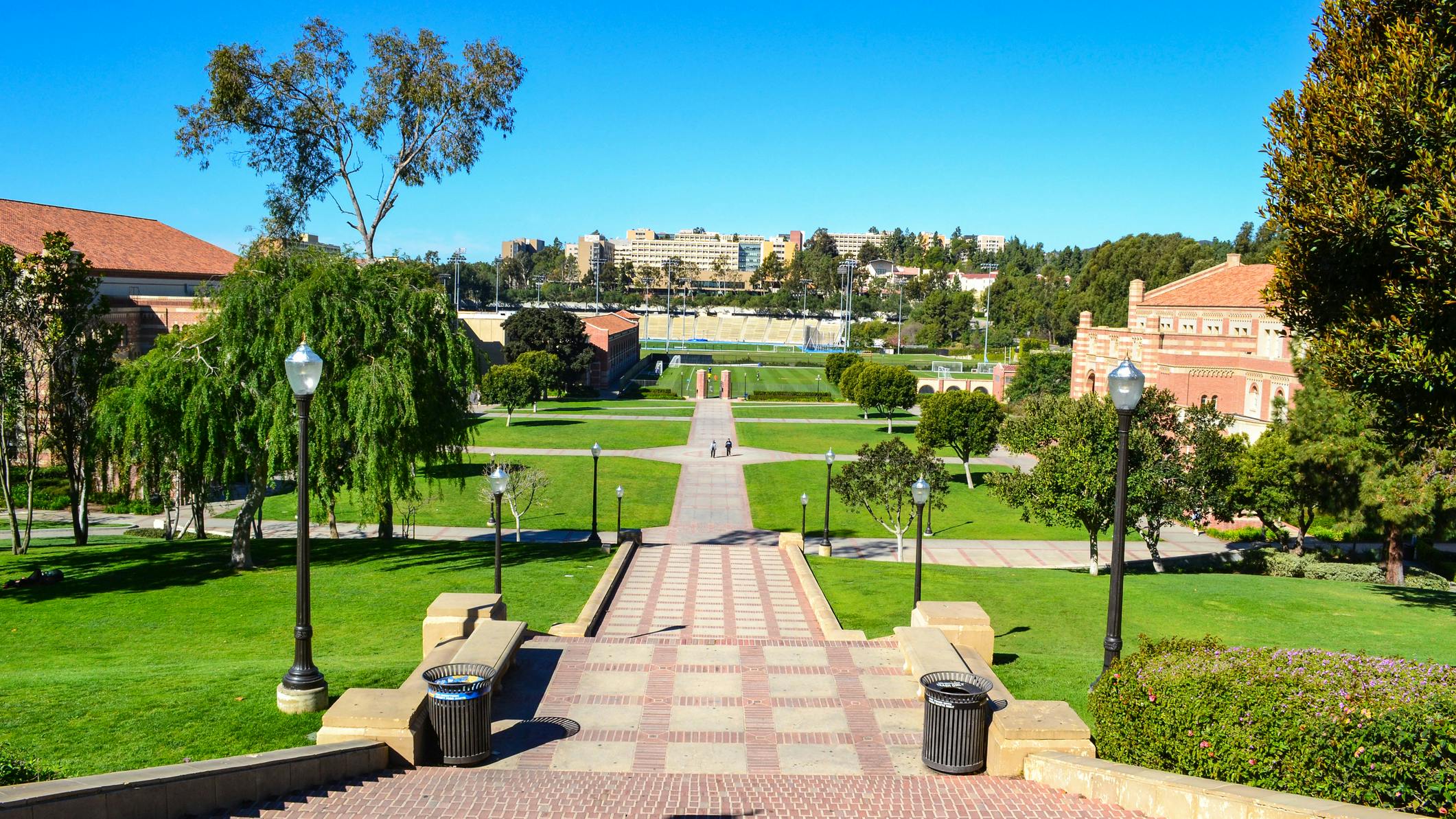 66c35f871c4b392adbf4c489 Dreamstime M 81676645