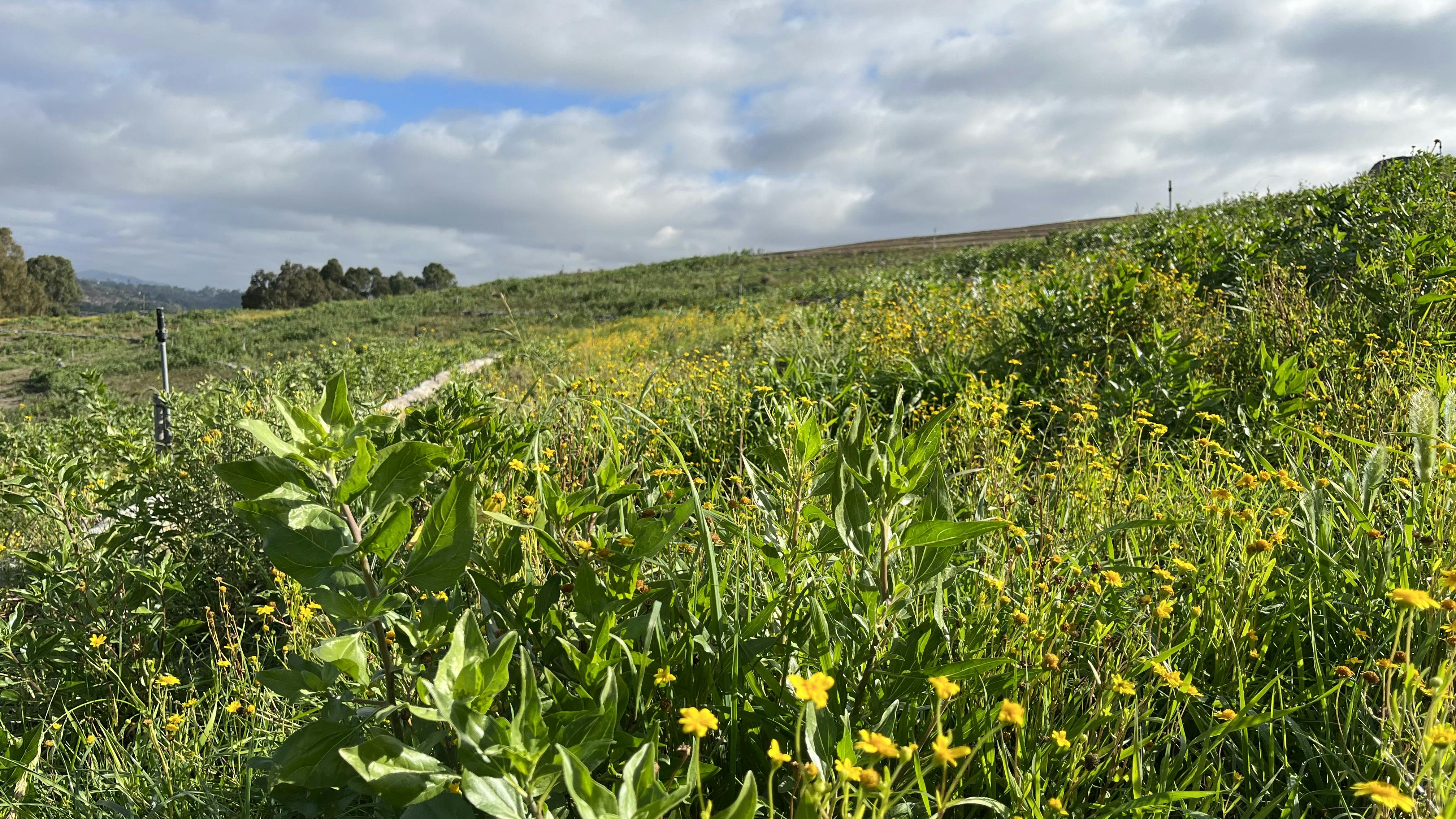 66c3b8ee85813e2686431f7a Img 6871 2