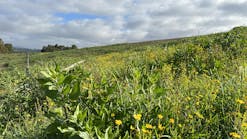 img_6871_2 img_6871_2