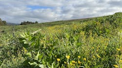 img_6871_2 img_6871_2