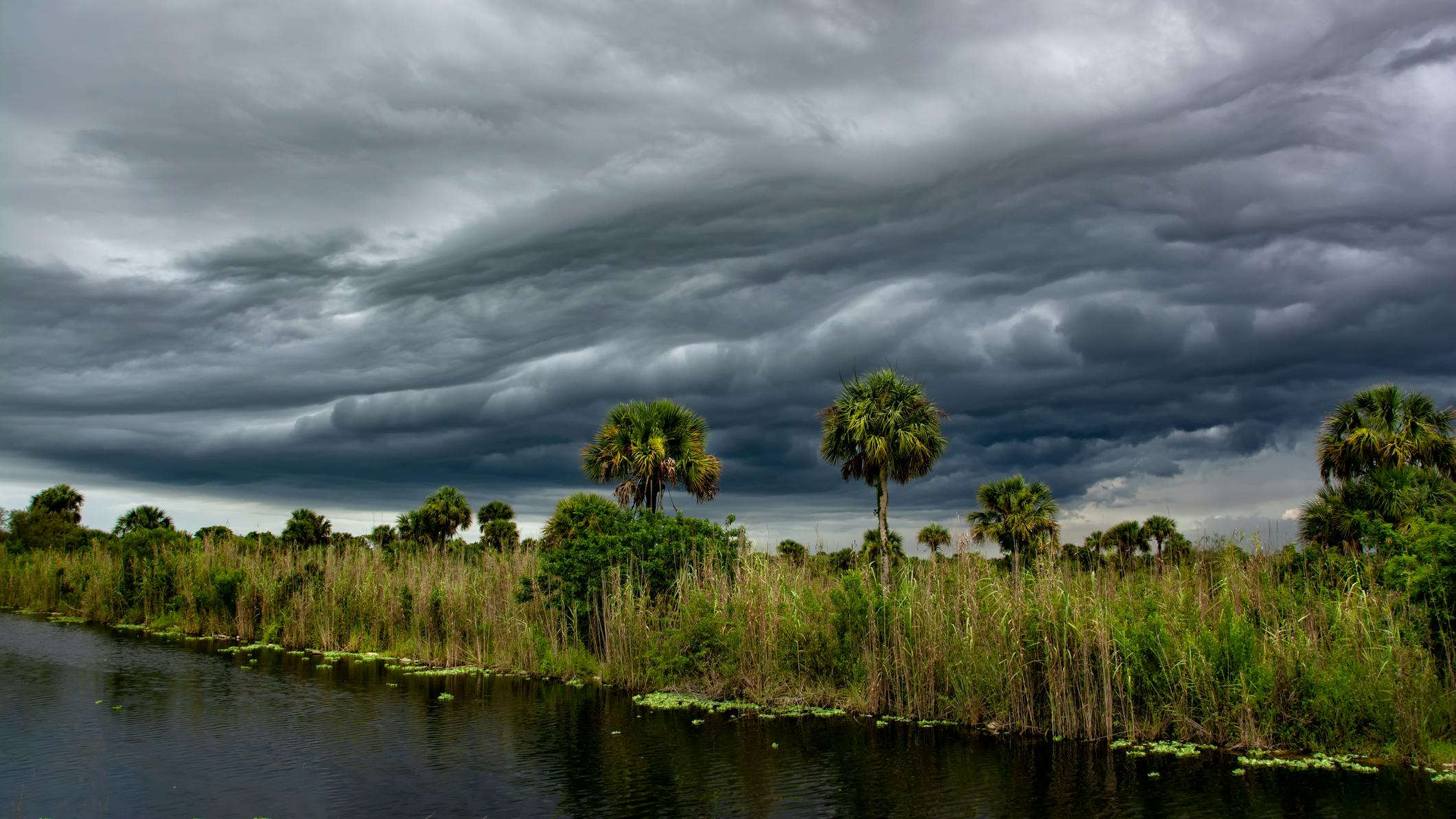 66df575490649e87d60ae2f7 Dreamstime M 133456704