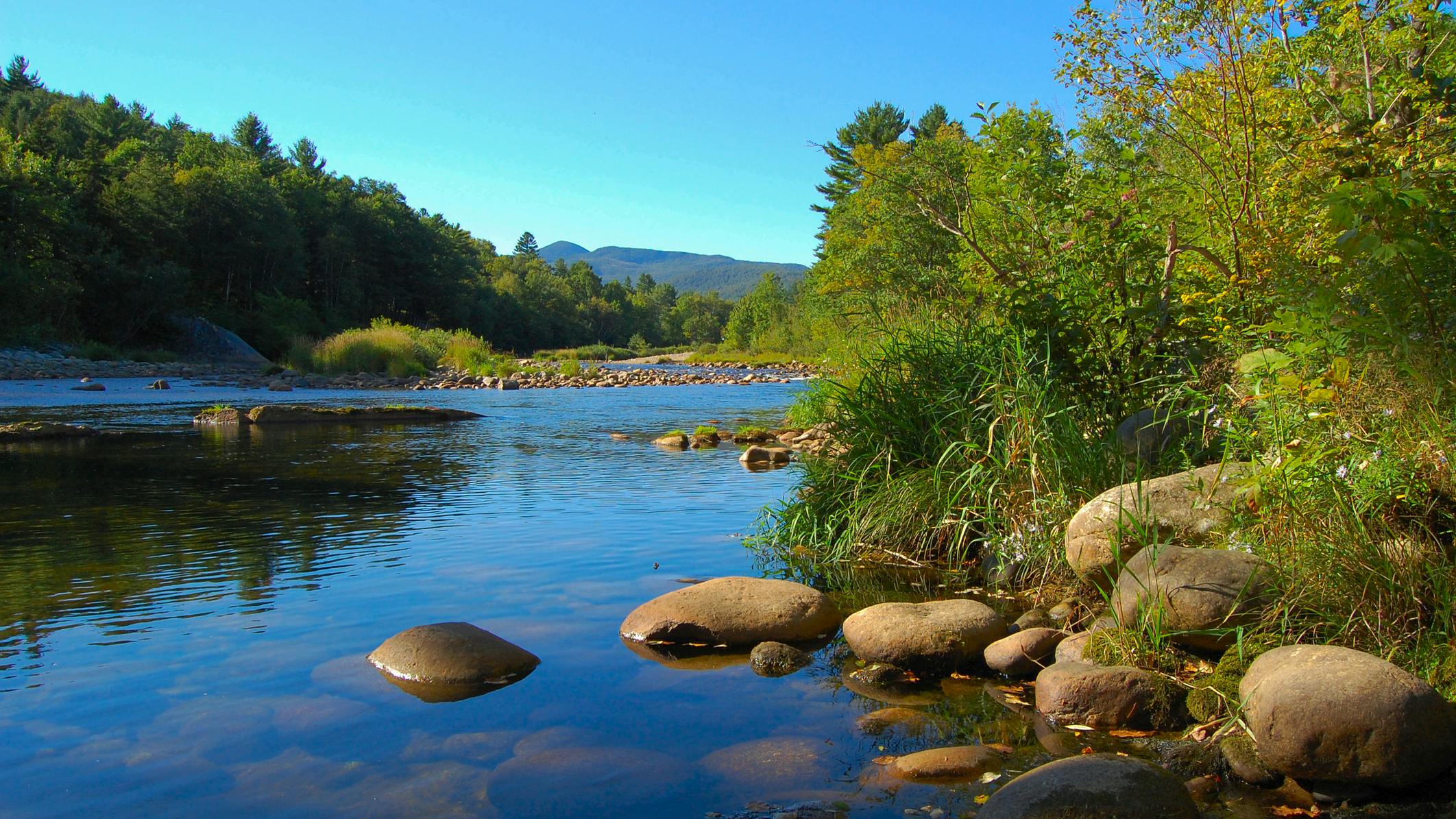 66e0abeddf75ab343c0b2f1e Dreamstime M 3147742