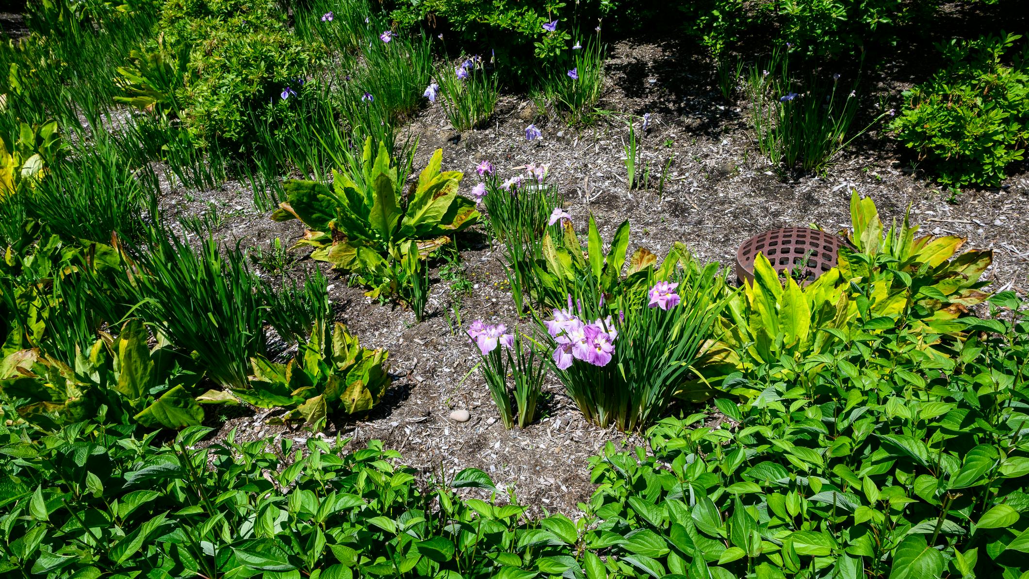 66f5aa10dd942f031becec57 Dreamstime M 283806339