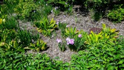 66f5aa10dd942f031becec57 Dreamstime M 283806339 66f5aa10dd942f031becec57 Dreamstime M 283806339