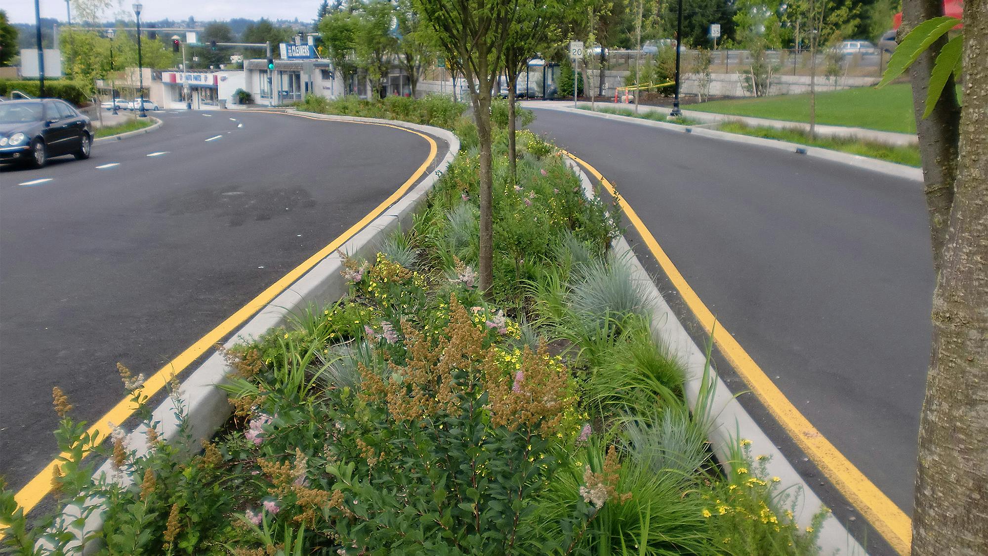 67003bfbac8bb32643d9edd4 Greenburg Road Edit