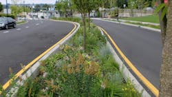 67003bfbac8bb32643d9edd4 Greenburg Road Edit 67003bfbac8bb32643d9edd4 Greenburg Road Edit