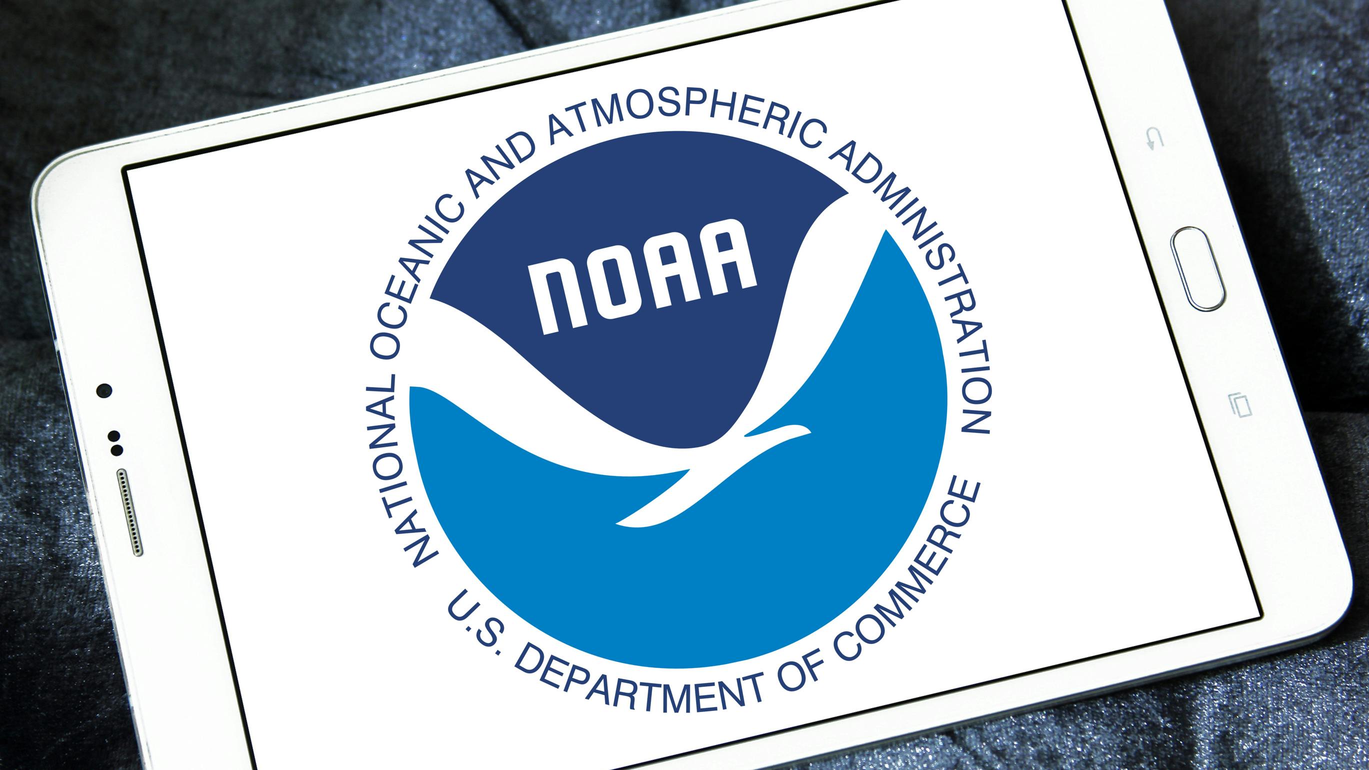 67082de904db87e2f76656dc Dreamstime L 301957355