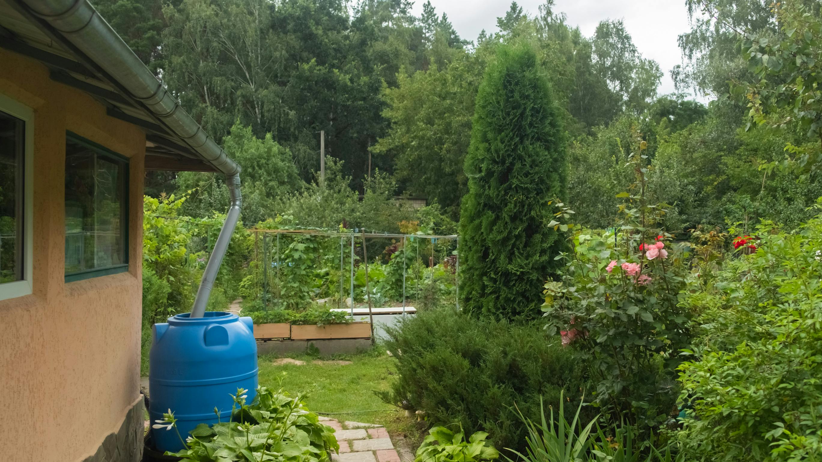 671a6f5d873f896c10f46344 Dreamstime L 321080889