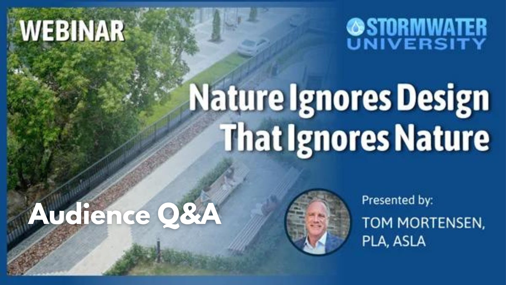 671bc59b0dedea6b35534e4b Audience Qa 4