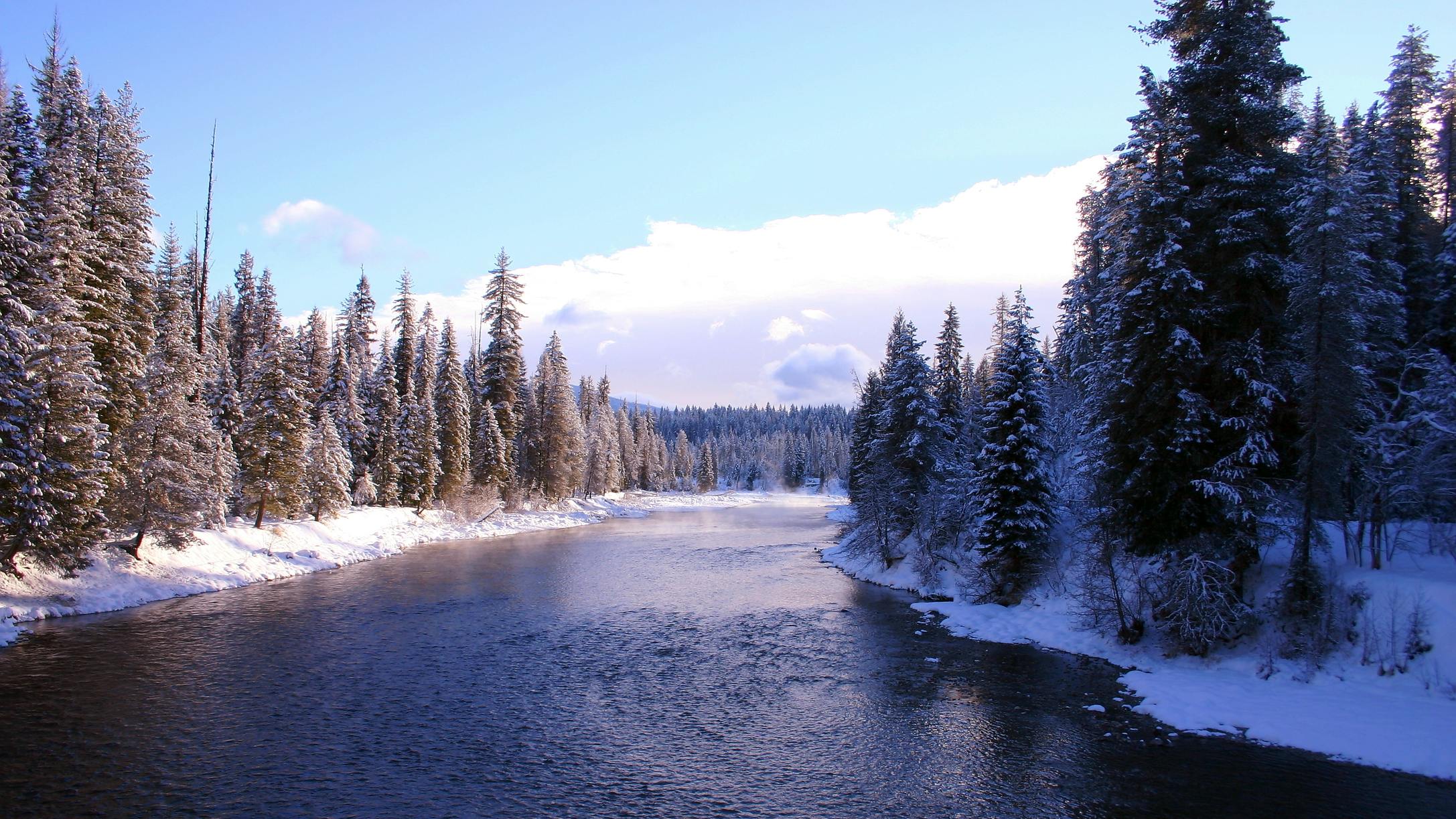 6723e11f74b134cfe1e969d6 Dreamstime M 6768196