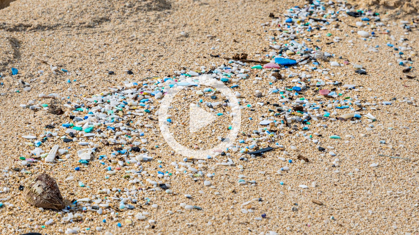 Understanding the risks of microplastics | Stormwater Solutions