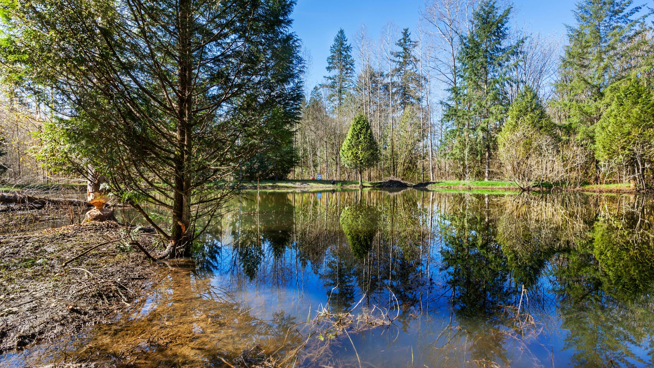 dreamstime_m_184811273