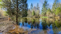 673b916b214cf931a36dbfe2 Dreamstime M 184811273 673b916b214cf931a36dbfe2 Dreamstime M 184811273