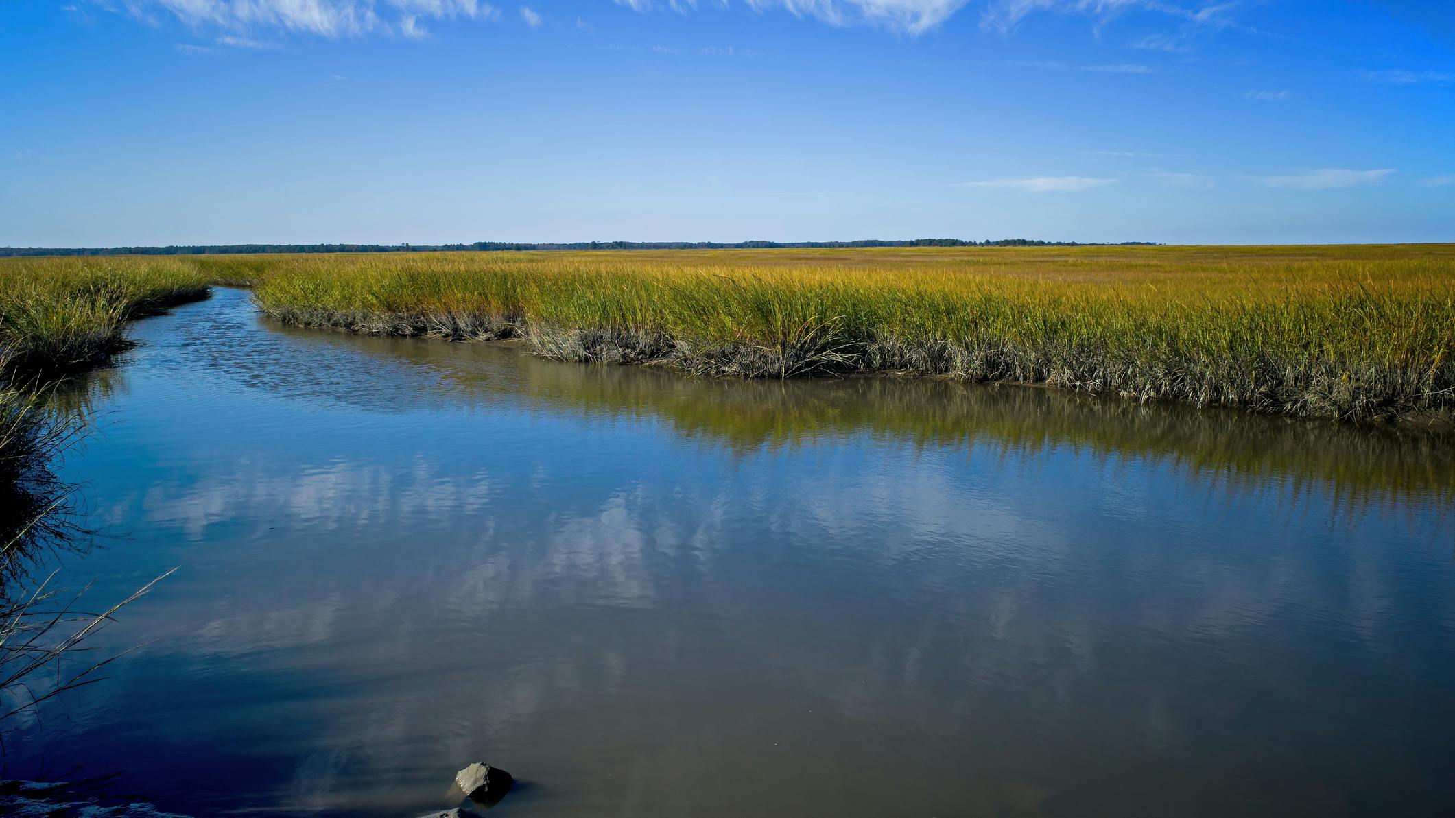 673bb7c0927f4a7703c2baae Dreamstime M 161366909