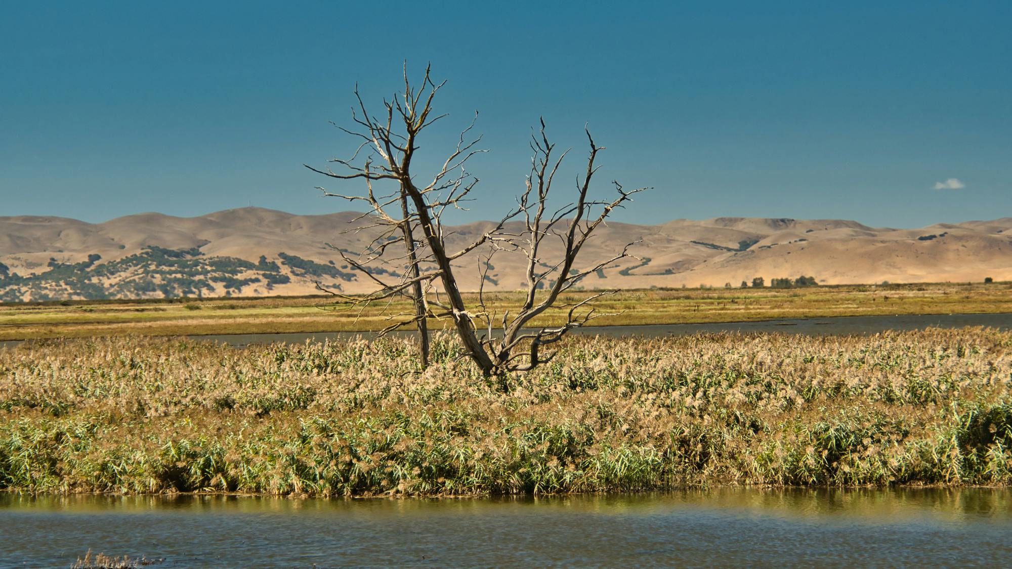 673cf2a414868839d17164f3 Dreamstime M 197189721