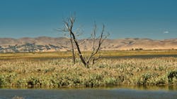 673cf2a414868839d17164f3 Dreamstime M 197189721 673cf2a414868839d17164f3 Dreamstime M 197189721