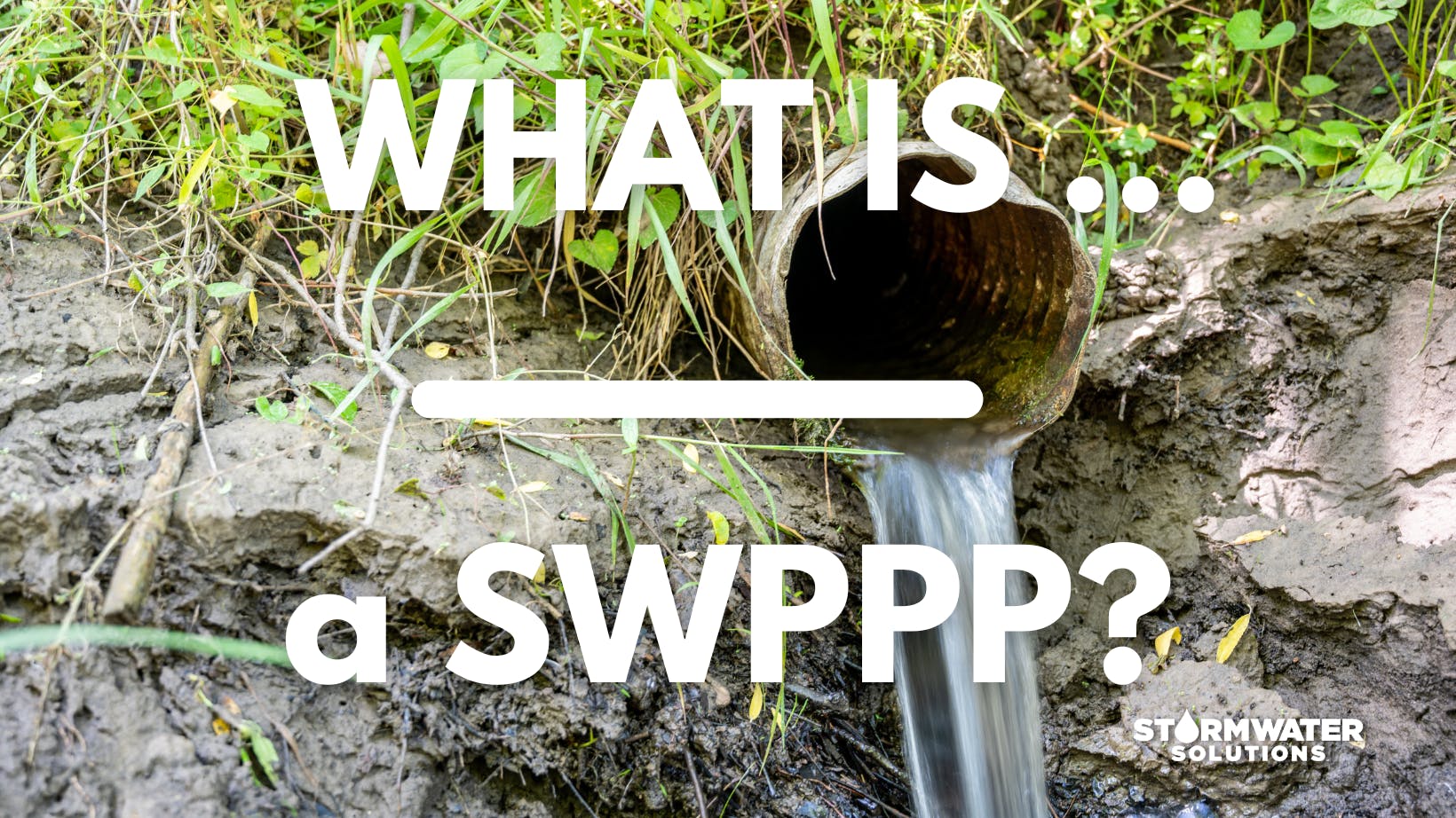 673f77ff725d2f3f2fba009d What Is