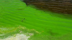 dreamstime_m_326130300 dreamstime_m_326130300