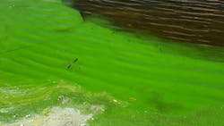 6749ef6cebb58826891894f0 Dreamstime M 326130300 6749ef6cebb58826891894f0 Dreamstime M 326130300